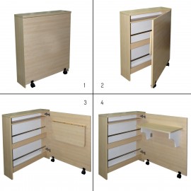 Home Office Table ( Space Saving Folding Cabinet)